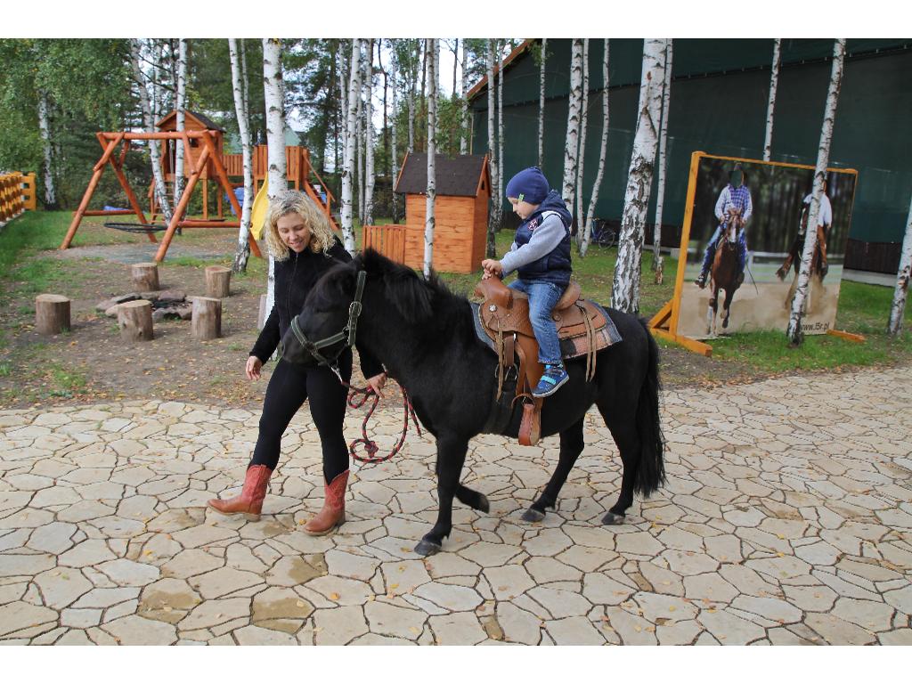 Byk rodeo, eurobagee, dmuchańce, krowa do dojenia, eventy, imprezy..., Mroczków a, świętokrzyskie