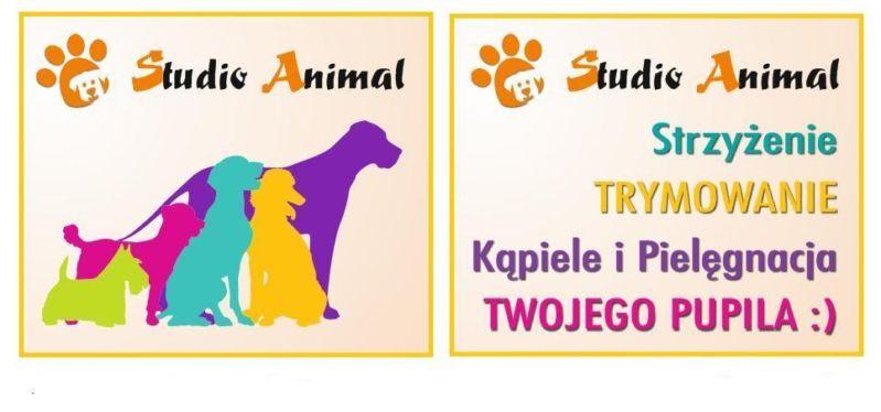 STUDIO ANIMAL strzyżenie Twojego Pupila KRAKÓW, KROWODRZA, BRONOWICE, -,Kraków, małopolskie