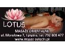 masaż klasyczny,masaż ajurwedyjski, masaż relaksacyjny,świecowanie,, Sulęcin, lubuskie