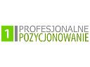 Profesjonalne Pozycjonowanie, Poznań, wielkopolskie