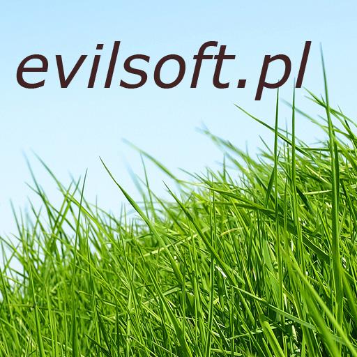 Serwis komputerowy Bełchatów, evilsoft.pl, łódzkie