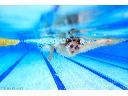 Nauka pływania. Zdjęcia dla SwimSport Wojciech Wandzel