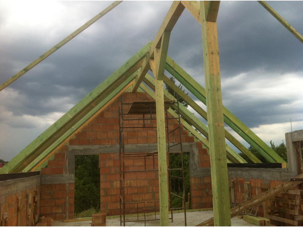 Budowa i naprawa dachów ,stropów oraz budynków w stanie surowym. 