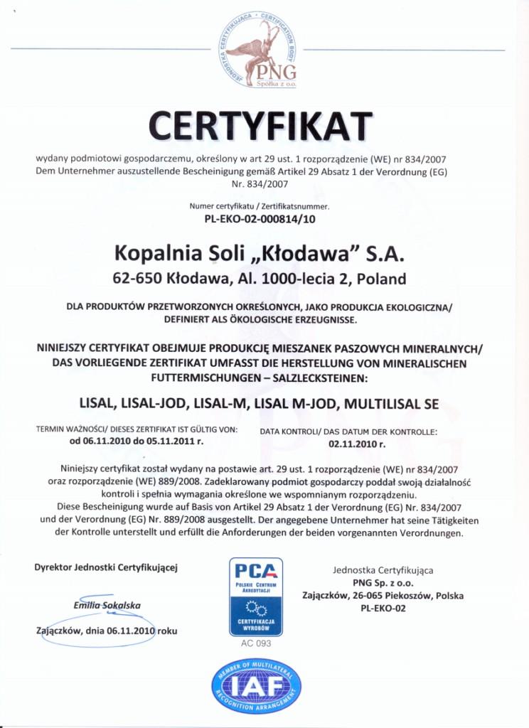 SÓL DROGOWA Z KŁODAWY, SÓL WORKOWANA 5 25 50 KG
