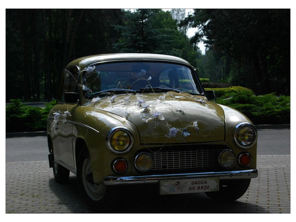 SYRENA / ALFA ROMEO - AUTO DO ŚLUBU - ADAM :), Łódź, łódzkie