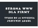 Kompletna strona internetowa dla Twojej firmy za 369zł!, cała Polska