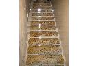 schody dywanowe magnific gold