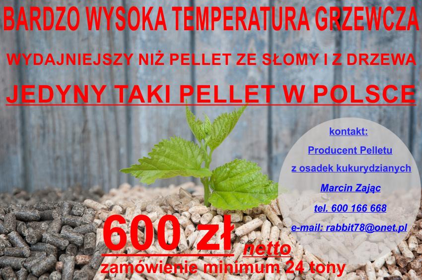 Rabbit Marcin Zając producent pelletu tel. 600 166 668