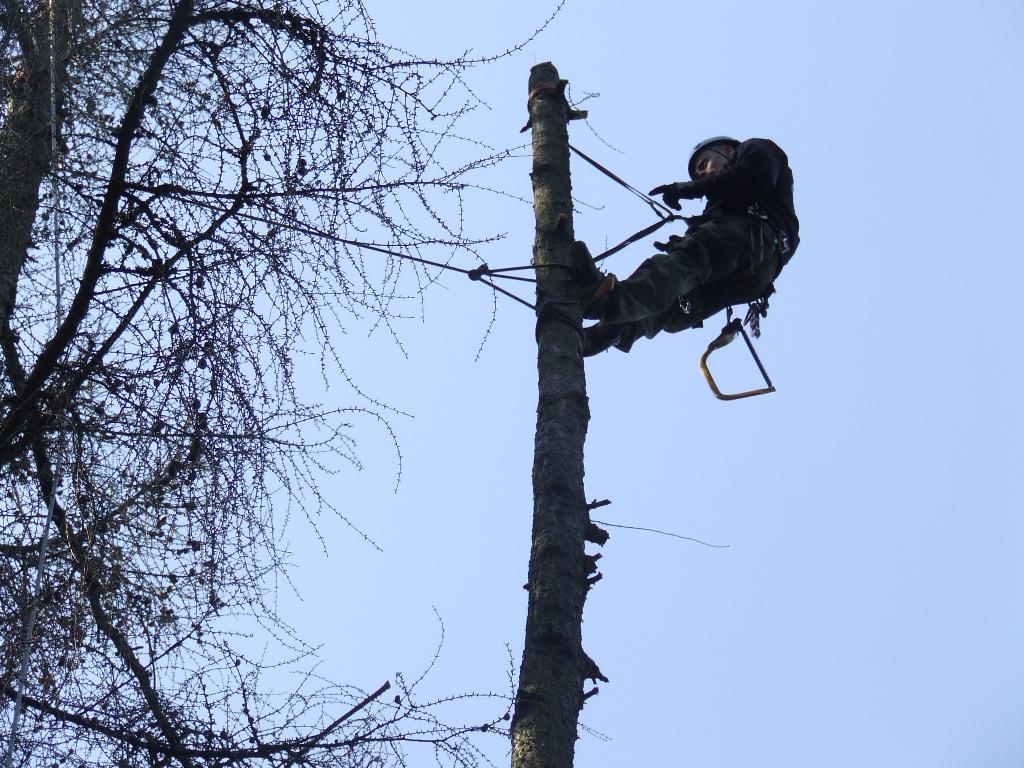 Prace wysokościowe alpinizm odśnieżanie wycinka drzew mycie okien