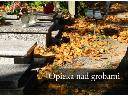 groby i nagrobki - sprzątanie, czyszczenie, nabłyszczanie,konserwacja,, Bielsko-Biała, śląskie