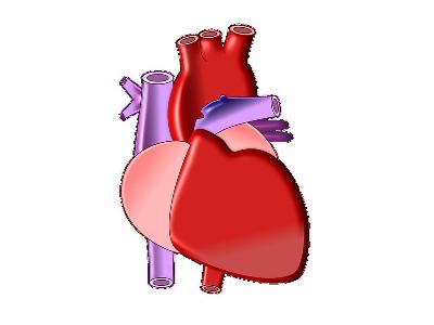 Przeszczep serca - czym się charakteryzuje oraz związane z nim ryzyko