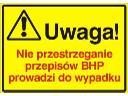 SZKOLENIA BHP - ON-LINE  , Kraśnik  , lubelskie