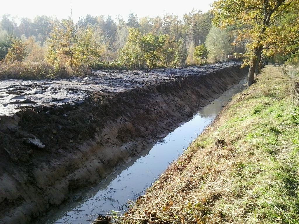  UTRZYMANIE TERENÓW ZEWNĘTRZNYCH SPRZĄTANIE, ODŚNIEŻANIE, KOSZENIE, KOSZALIN, zachodniopomorskie