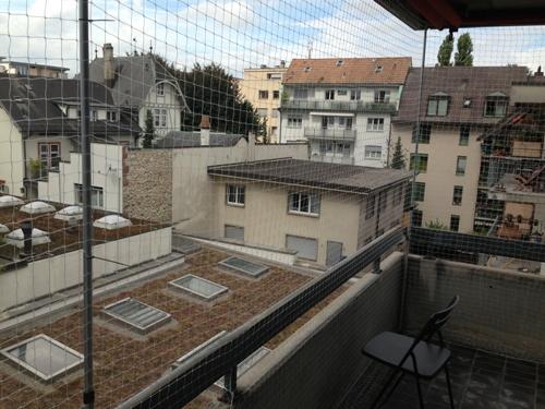 Siatka dla kota montaż warszawa, siatka przeciw ptakom, mazowieckie