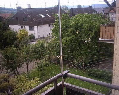Siatka dla kota montaż warszawa, siatka przeciw ptakom, mazowieckie
