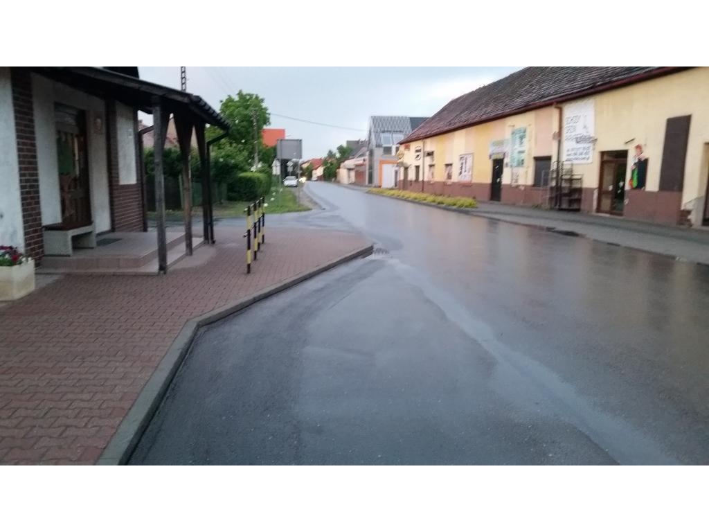 POLEWACZKA  ZAMIATARKA, Pisarzowice , dolnośląskie