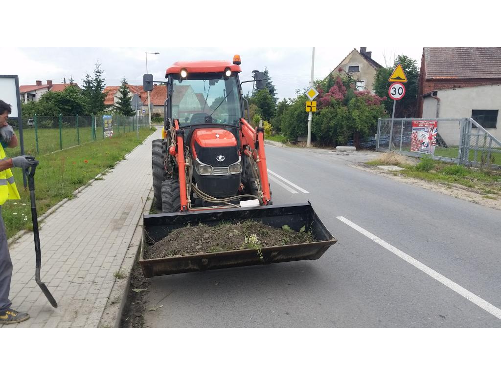 POLEWACZKA  ZAMIATARKA, Pisarzowice , dolnośląskie