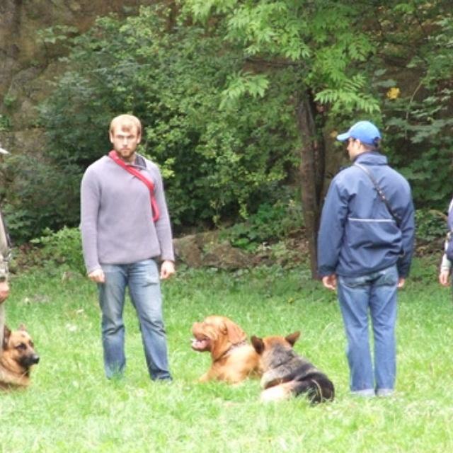 Szkolenie psów z dojazdem do klienta oraz z przechowaniem psa w hotelu