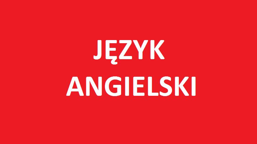 Angielski- korepetycje, Skype