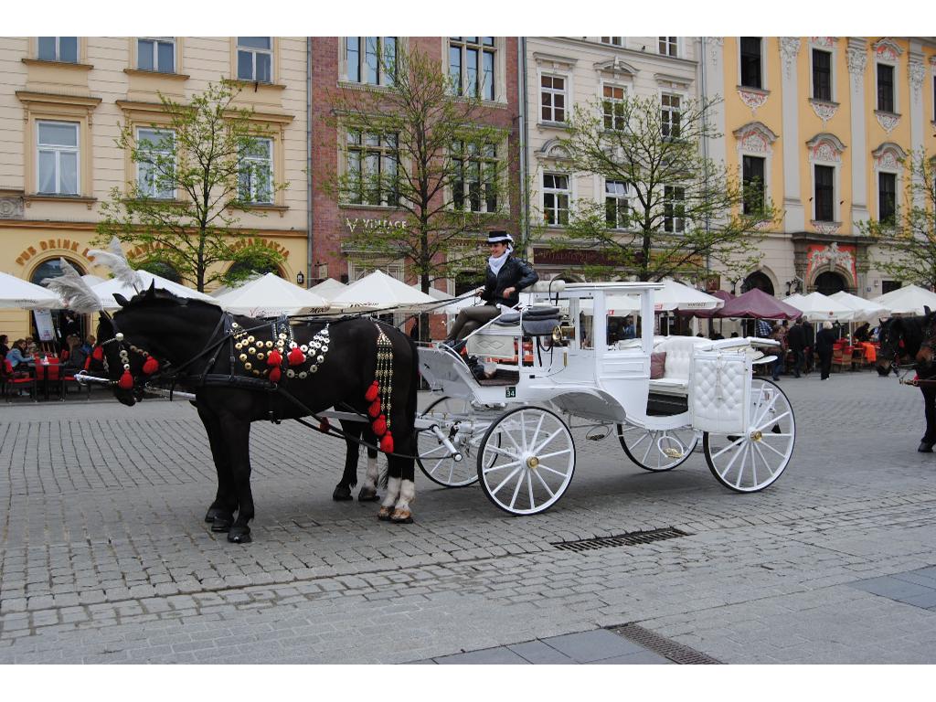 Powóz konny do ślubu i inne uroczystości, Kraków, małopolskie