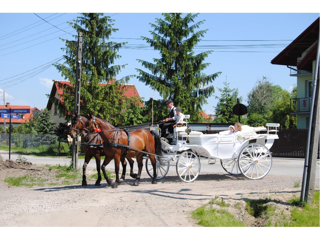 Powóz konny do ślubu i inne uroczystości, Kraków, małopolskie