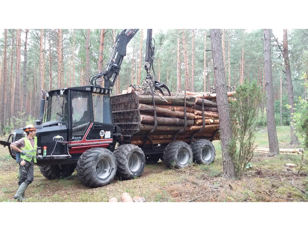 Projektowanie ogrodów, wycinki drzew,nawadnianie ogrodów, Rybnik, śląskie