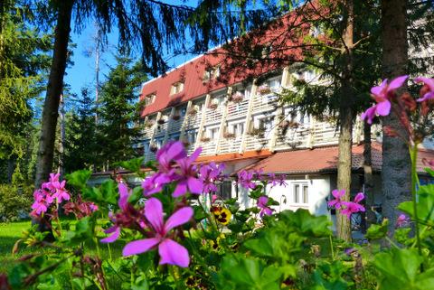 Pokoje na Mazurach, Wilkasy, warmińsko-mazurskie