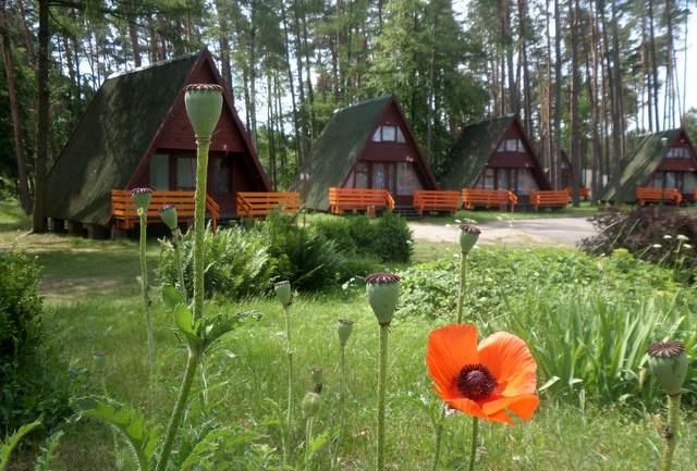 Pokoje na Mazurach, Wilkasy, warmińsko-mazurskie