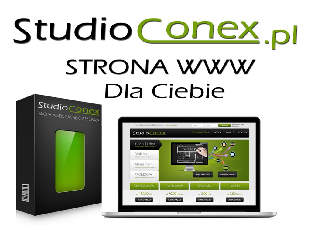Strona internetowa www ONLINE