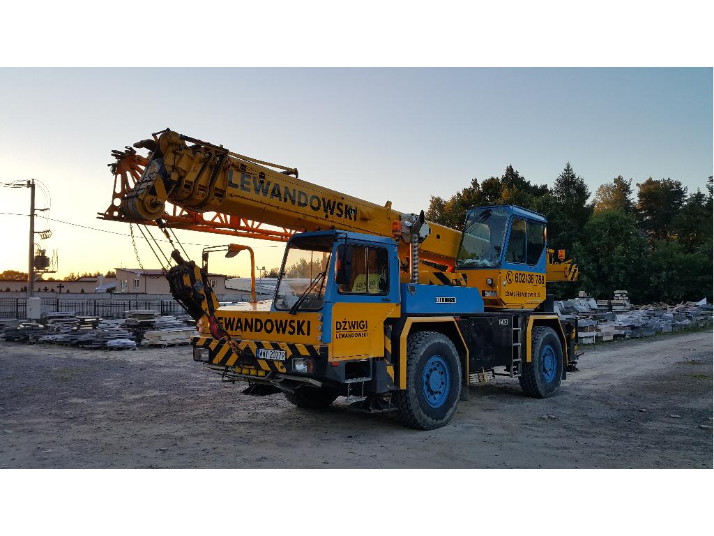 LIEBHERR LTM 1030/1