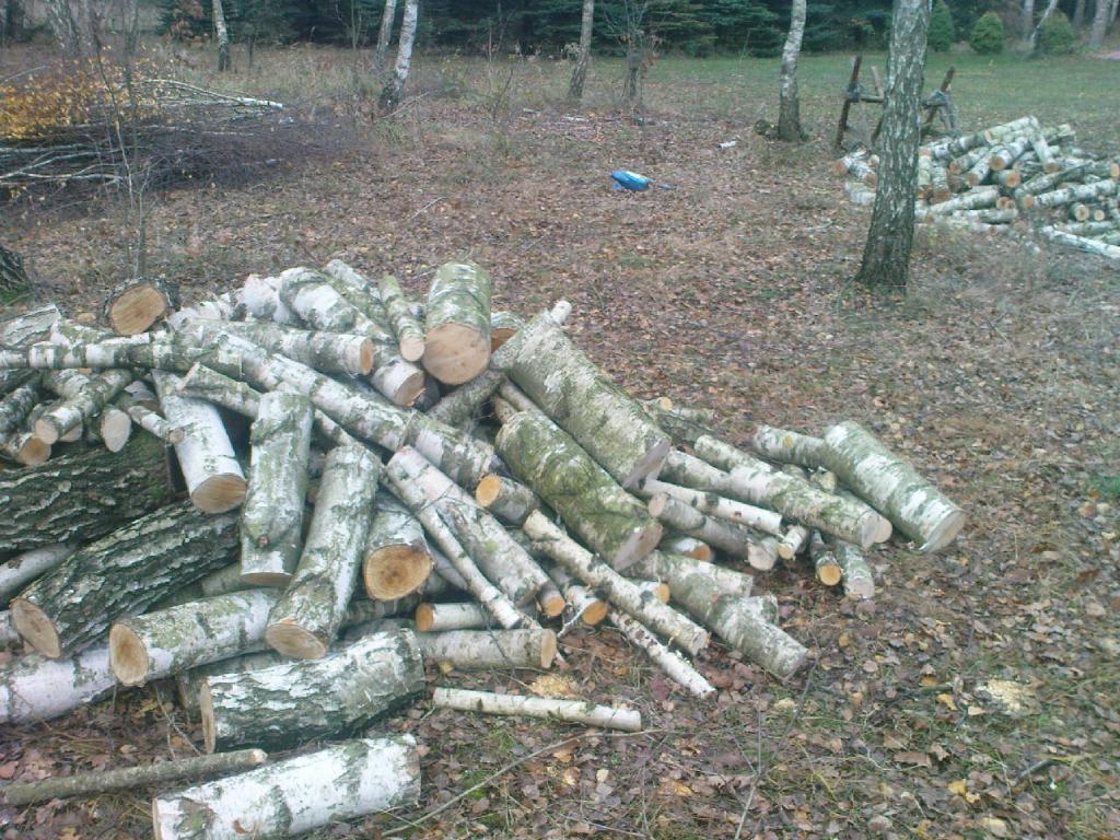 Profesjonalne usługi ogrodnicze,  wodzierady, łódzkie