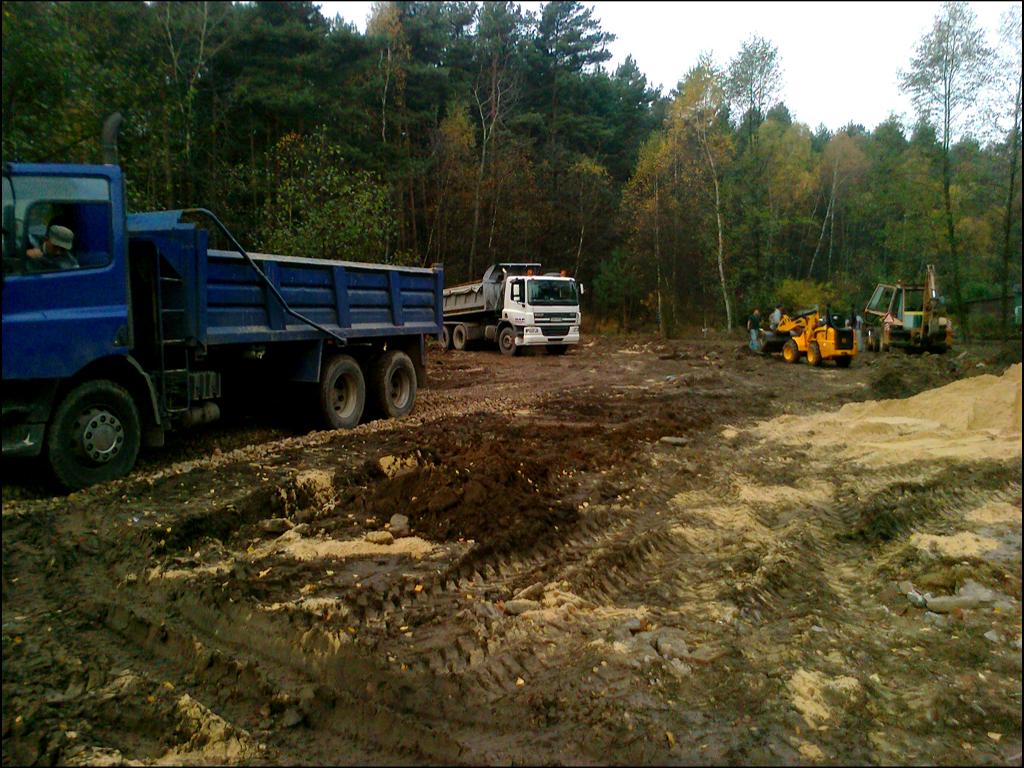 Zakładanie trawników z siewu, Dąbrowa Górnicza, śląskie