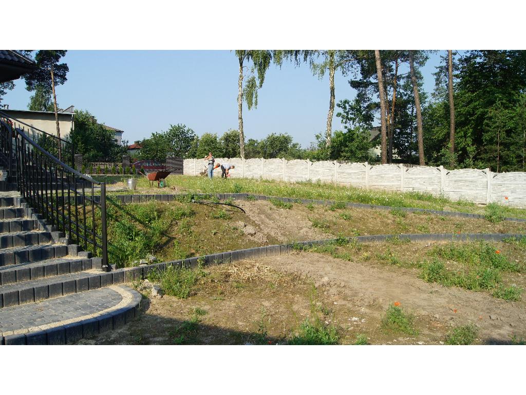 Zakładanie trawników z rolki, Katowice, śląskie
