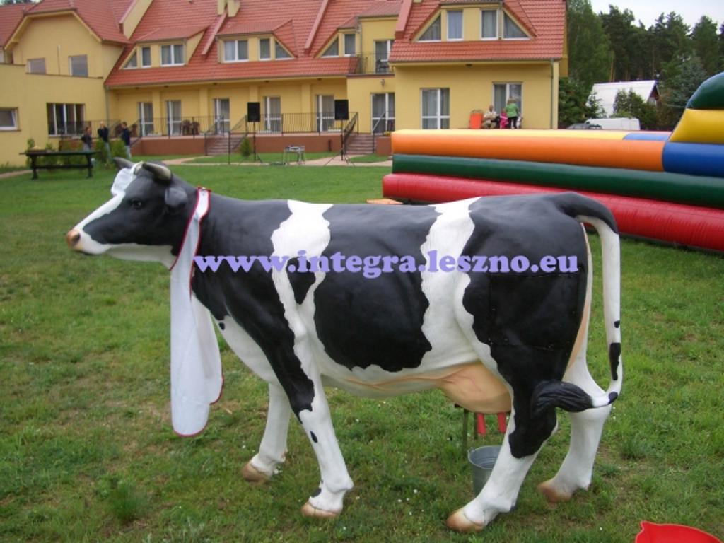Organizacja imprez, imprezy integracyjne, imprezy firmowe, eventy, Leszno, wielkopolskie
