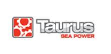 Taurus Sea Power Sp. z o.o., Pruszcz Gdański, pomorskie