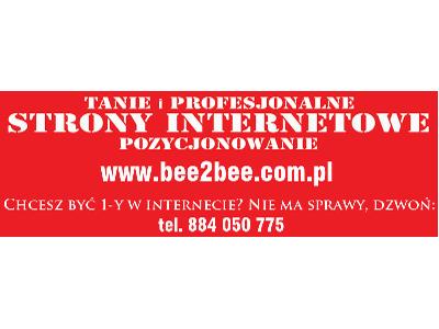 Strony internetowe Łódź - kliknij, aby powiększyć