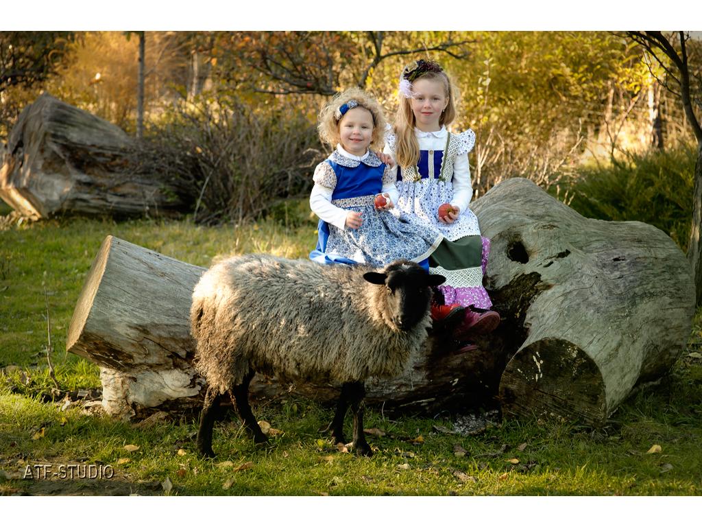 Sesje fotograficzne dla dzieci, Świdnica, dolnośląskie