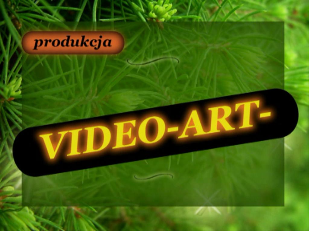 ART- STUDIO VIDEO-FOTO full HD - filmowanie oraz sesje fotograficzne, Chorzów Batory,Katowice,Bytom, śląskie