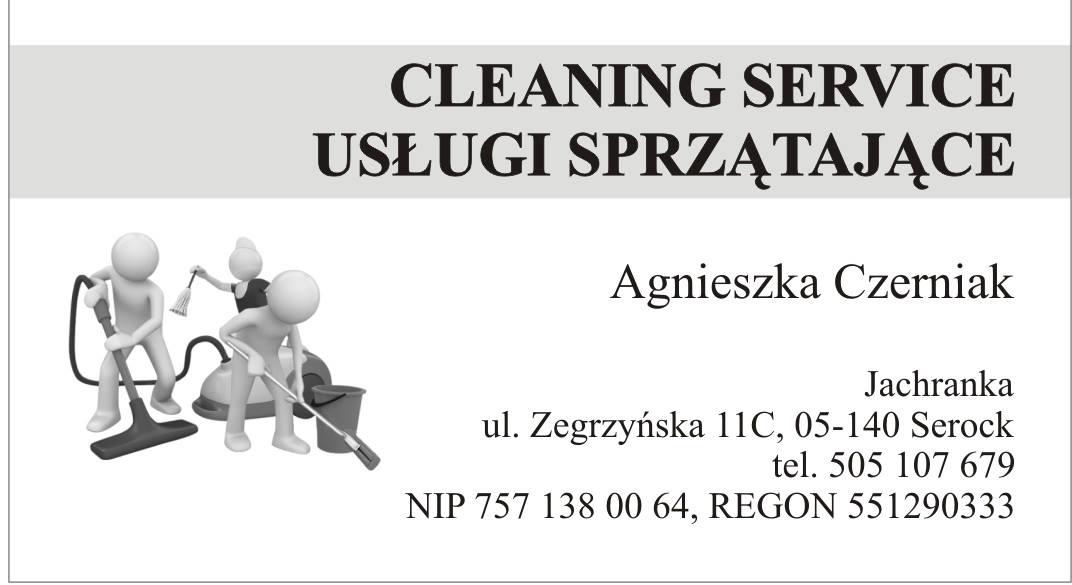 Sprzątanie - Usługi Sprzątające CLEANING SERVICE, Warszawa,Legionowo,Jabłonna,Serock, mazowieckie