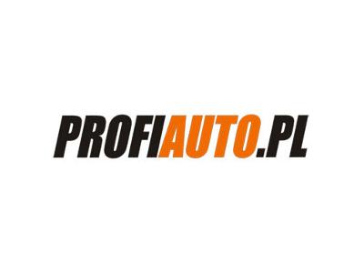 ProfiAuto - warsztaty i sklepy samochodowe - kliknij, aby powiększyć