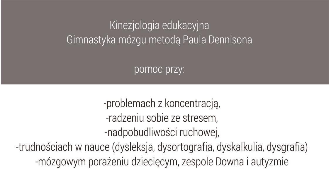 Poprawa koncentracji ortografii redukcja stresu adhd poprawa pisowni, Ruda Śląska, Zabrze, Gliwice, Katowice, Tychy, śląskie