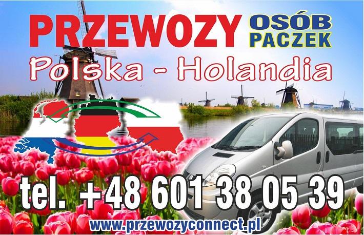 Busy do Holandii, Busy do Polski