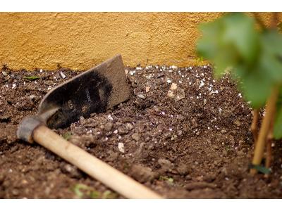 Jak przygotować glebę w ogrodzie przed sadzeniem roślin?