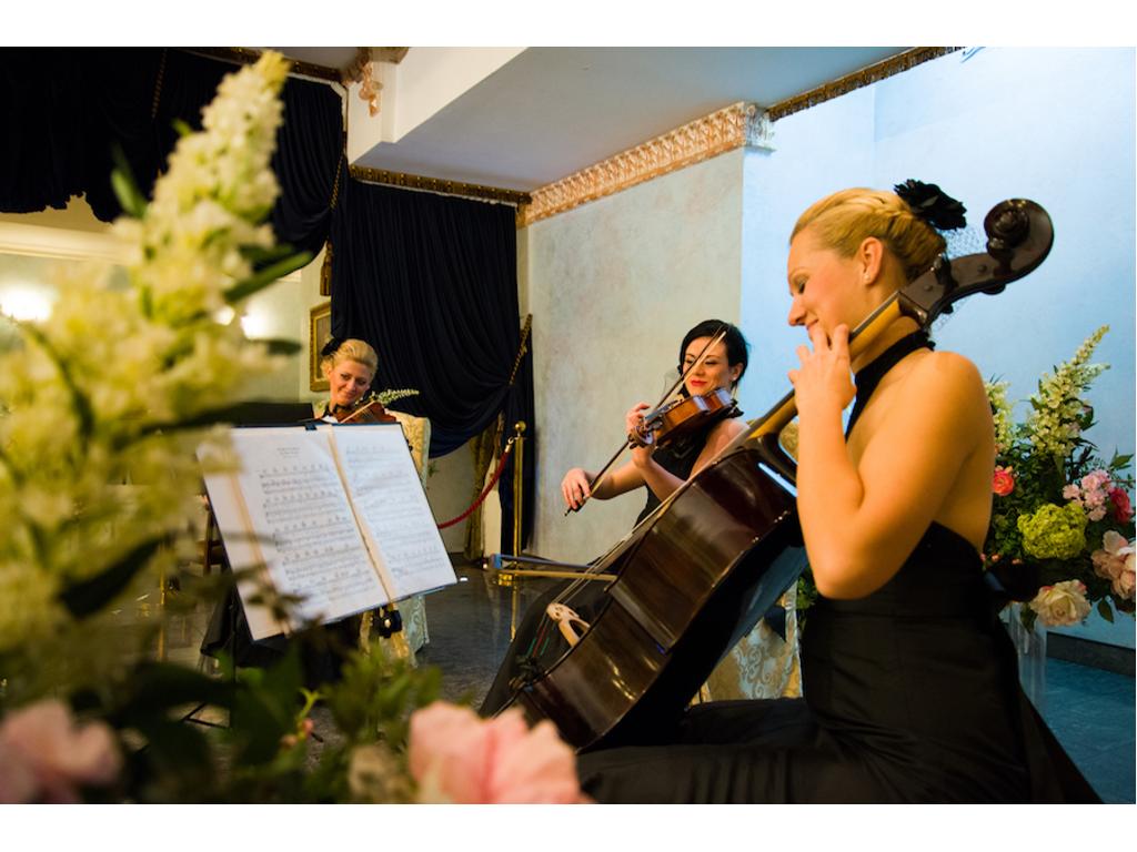 Muzyka na bankiet event spotkanie / Białystok / Trio Smyczkowe Kwartet, podlaskie