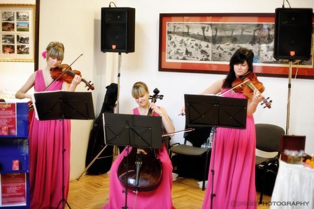 Muzyka na bankiet event spotkanie / Białystok / Trio Smyczkowe Kwartet, podlaskie