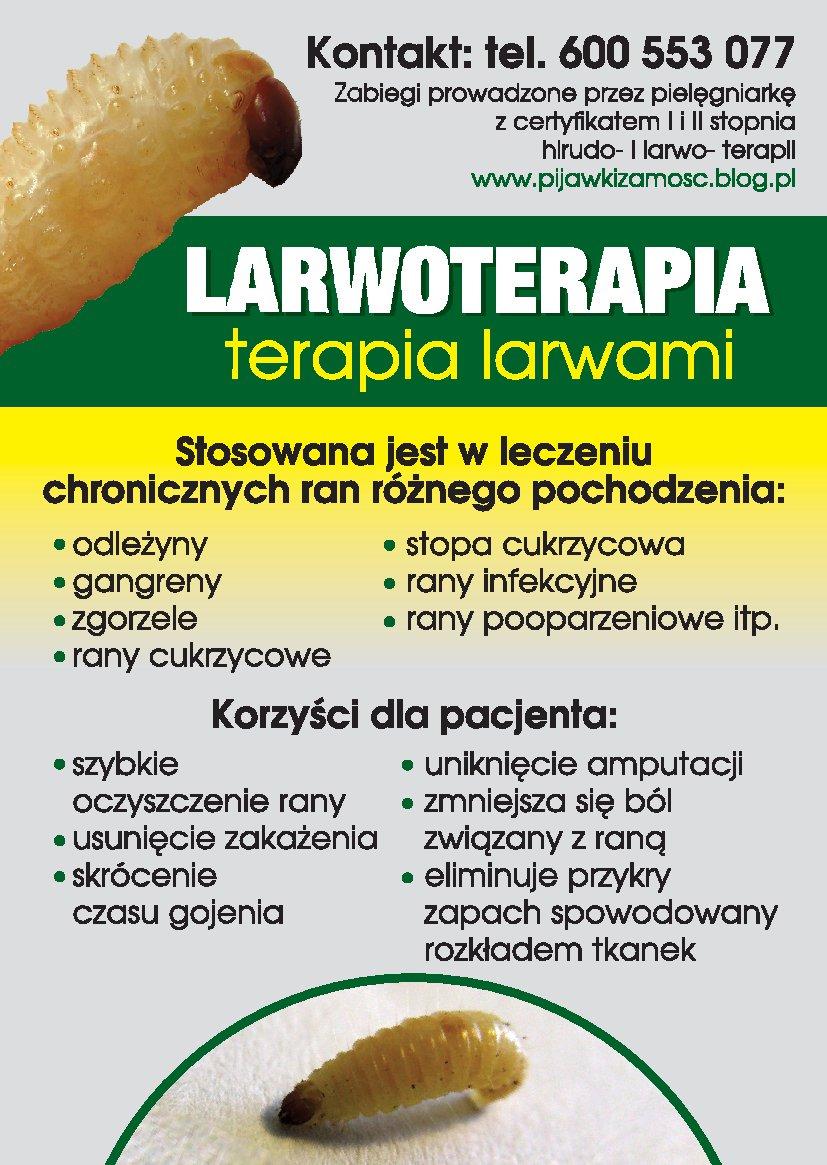 Terapia Pijawkiami i Larwami Much- Zamość, lubelskie