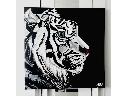 tygrys czarno biały
