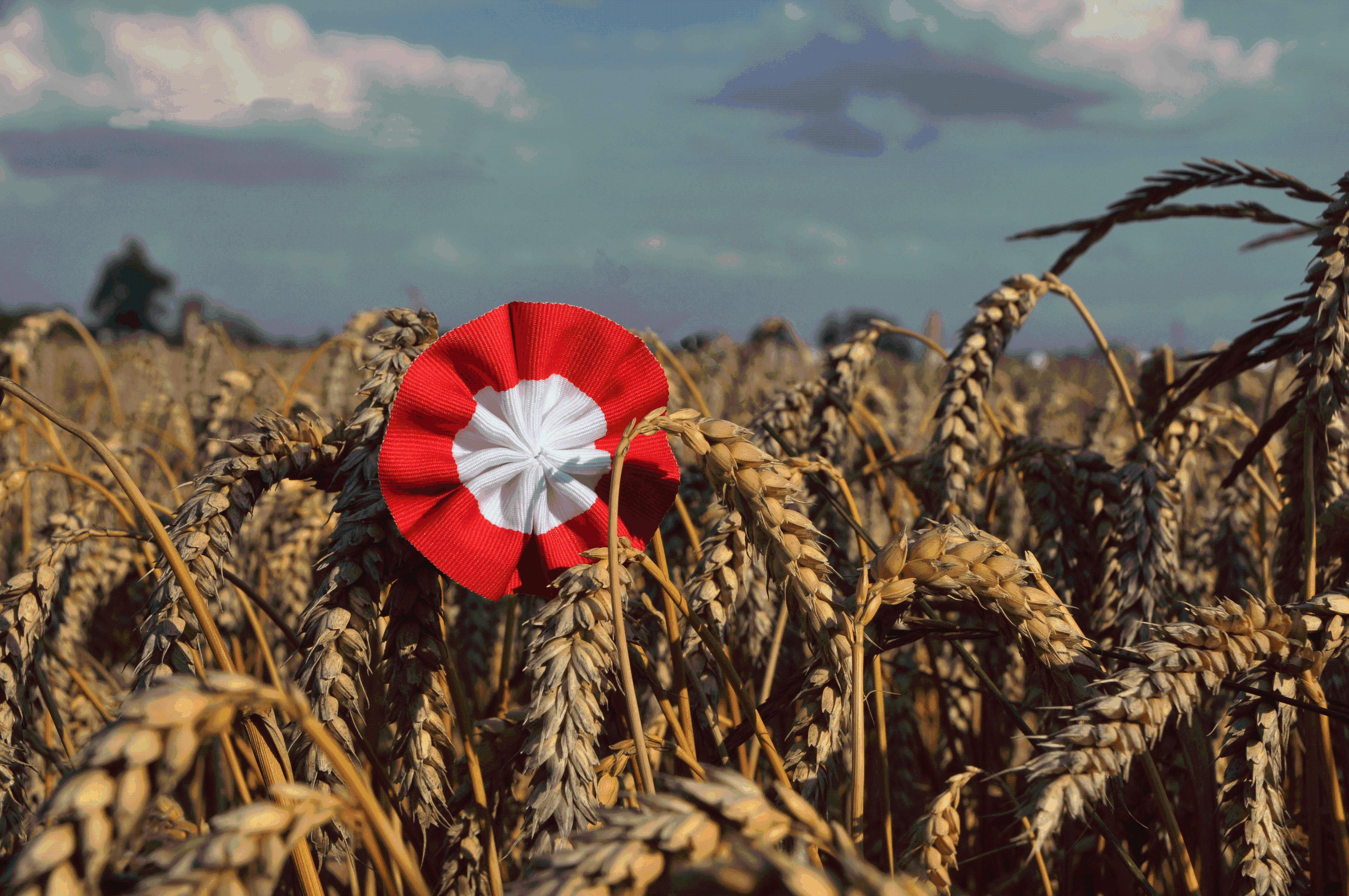 Chorągiewki biało czerwone POLSKIE