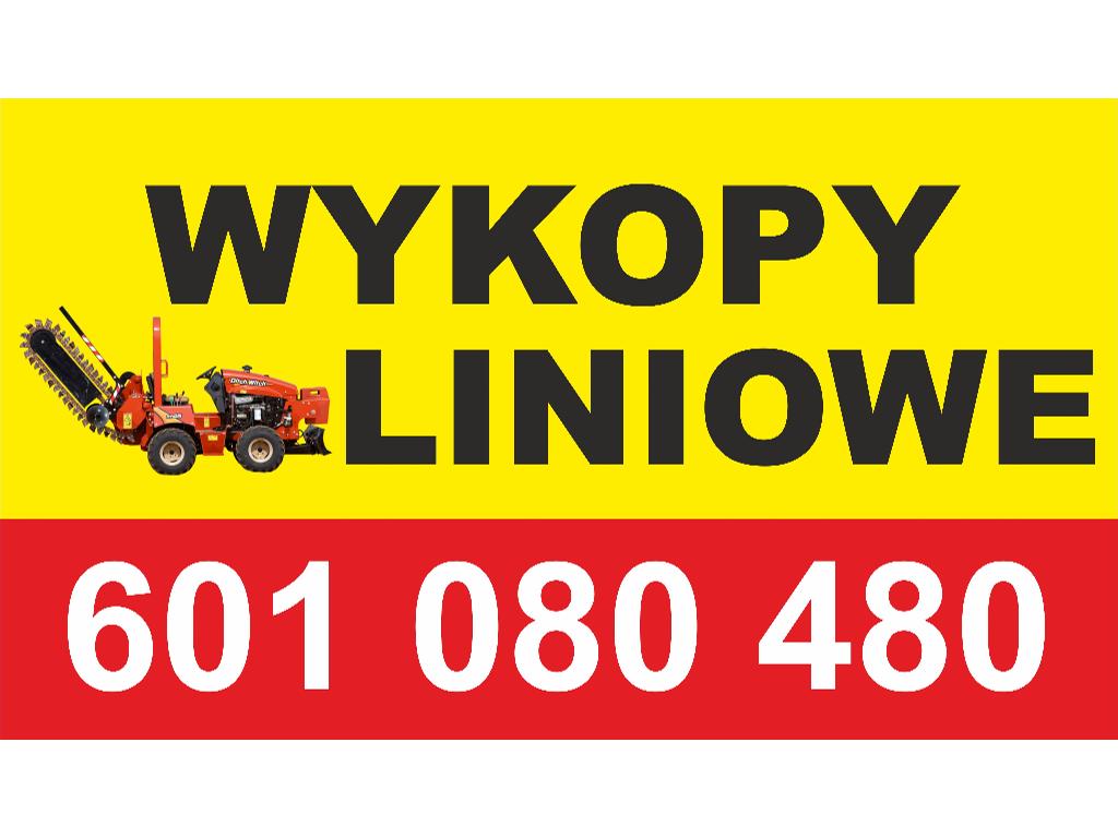 Wykopy liniowe, Turek, wielkopolskie