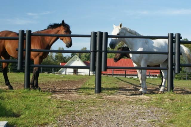 Equisafe - ogrodzenia elektryczne dla koni, pastuch , hdpe, Bydgoszcz, kujawsko-pomorskie